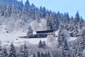 Schallern hiver.JPG