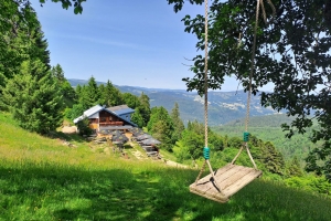 Photo-Schallern.jpg