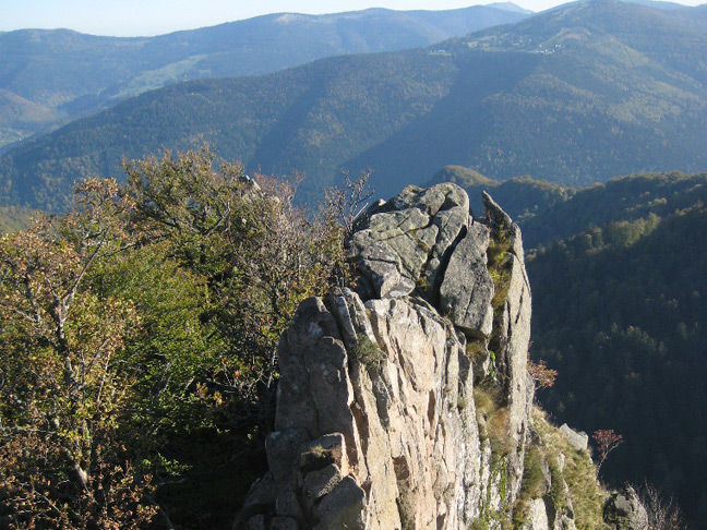 SPITZKOEPFE